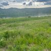 shuska88