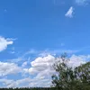 carmen_5174