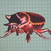 black_ox_beetle_on_tt