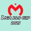 liga_dls5