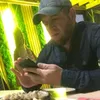 mirzapemnys