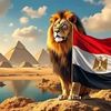 sayed95636