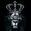 oussama_bijouxdz