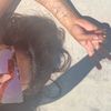 nessss0021