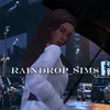 raindrop_sims