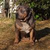 str8cashkennels