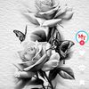 nancyr626