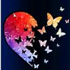 safeer.alklmaat