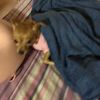 princesaskyy