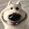 _9865433765_
