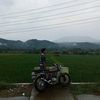 mohrehansyaifulloh