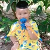 camlai22