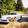 jonathanrodas849