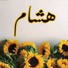 hisham6711