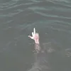 iamwho.os