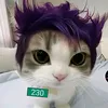 jacobnajlepszy4