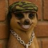 001richi