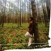 xettri.soyam
