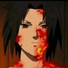 user7686572707912