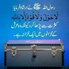 Rana alirizwan Info