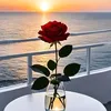 buoctiep_220278