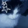 lcvely_lvcy1