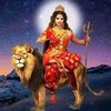 rajangupta5471