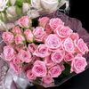 mohamd06114