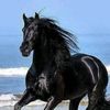 user77657815317118