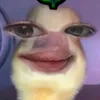 salihabatuwaan1