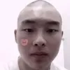 frey4_rose