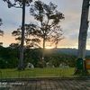adelia.naifah27