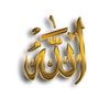 umarrasoolsohali