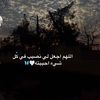 roro___al4
