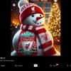 liverpoolfan201692