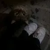 asmakamaran24