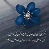 adilsameerm33