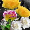 flordeduraznoescobedo