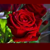 user9402205922051