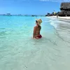 mandy.dbv