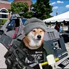 the_brick_301