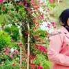 yaq_1996