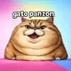 Gato Panzon