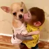 dvvqrss