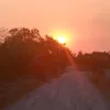 sun_bunni_sunoo1