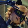 chat_noir320