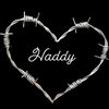 haddyfoxi1