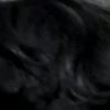 oplas_1