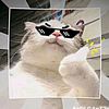 sultanwxx5
