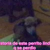 alejandrolopez2873